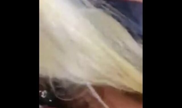 Ts fuck-stick swallow