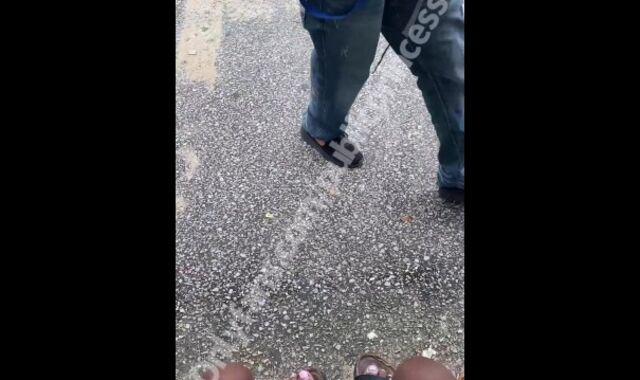 Caught in the daytime demonstrating (ts PublicPrincess)