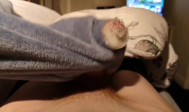 I make a balaji cum and she comes back the favour