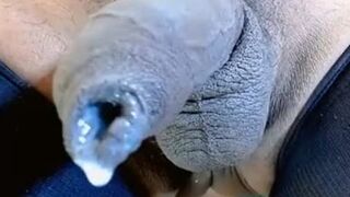 Katya delightsome Uncircumcised manstick 14335357 480p