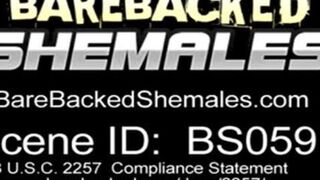 petite bra-stuffers she-male And guy Mutual Hump