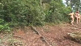 ts RAIN WOODS - Vignette 1