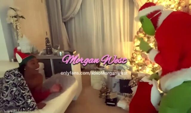 The GRINCH stole my Christmas