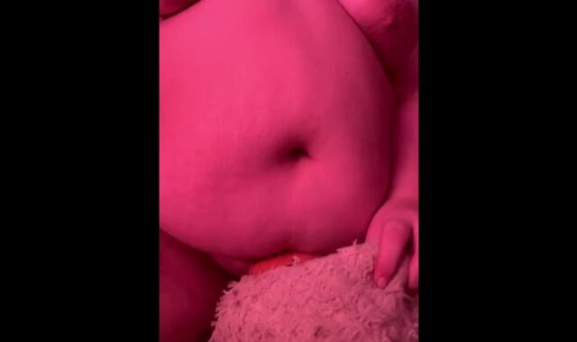 massive pup rides stuffie for parent