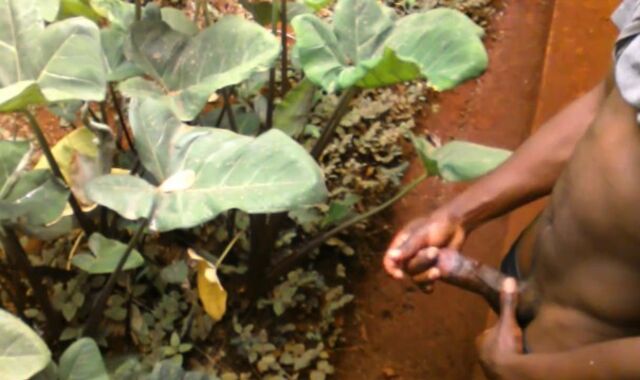 ALMOST CAUGHT IN THE PUBIC HAIR???? HAD TO WEAR MY PANTS FASTLY