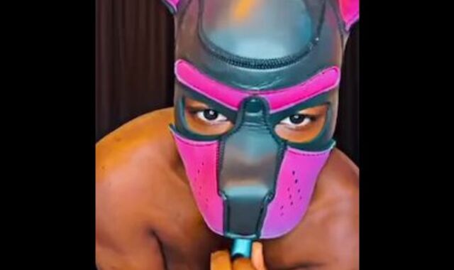 Jockpussy Leatherdaddy Puppy kink FTM big black cock Unwraps and wanks trans trunk w bosoms Bussy transgender