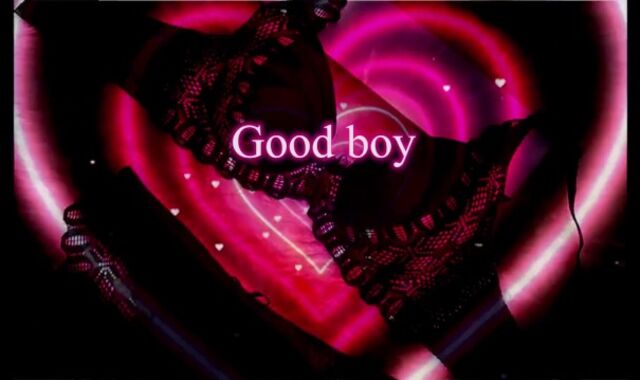 Feminization Sissification Sissy training - SUBORDINATED SISSY FAG